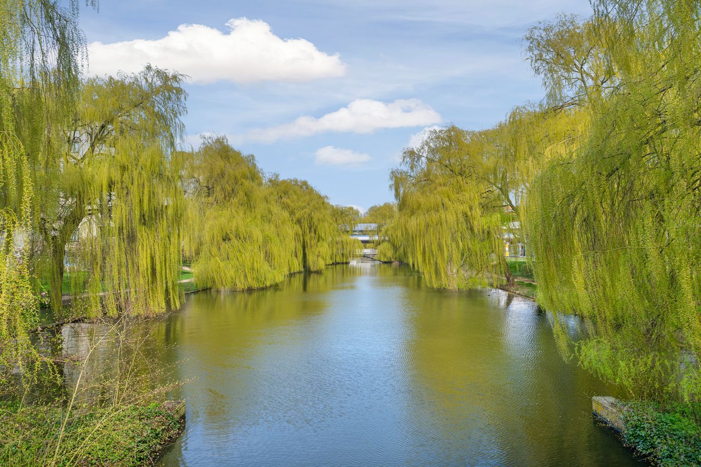 Foto 44 van Gleditsiastraat 39