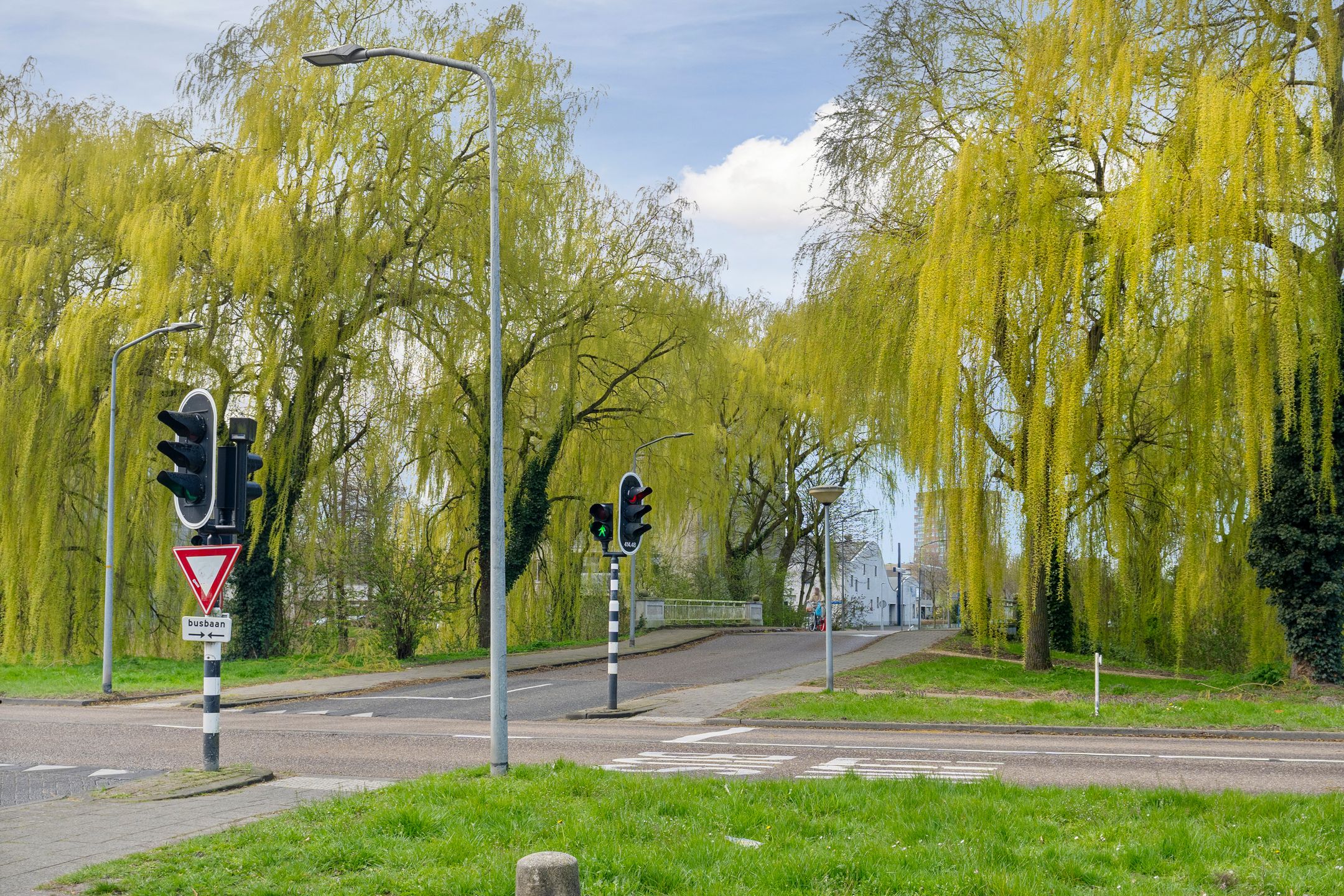 Foto 45 van Gleditsiastraat 39