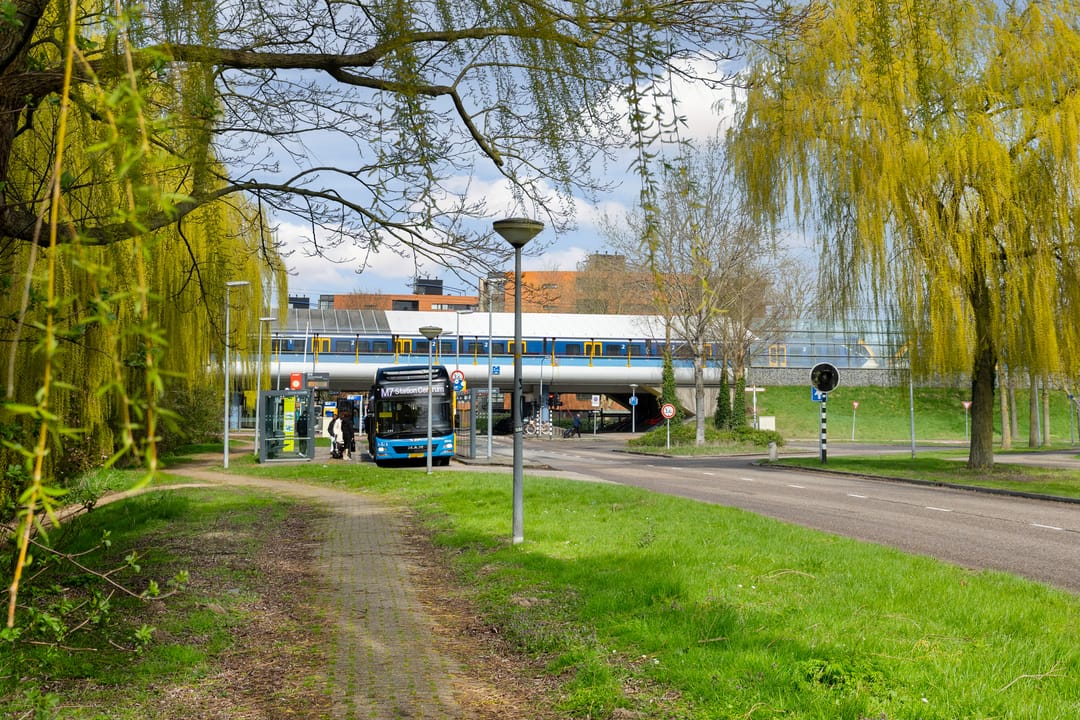 Foto 43 van Gleditsiastraat 39