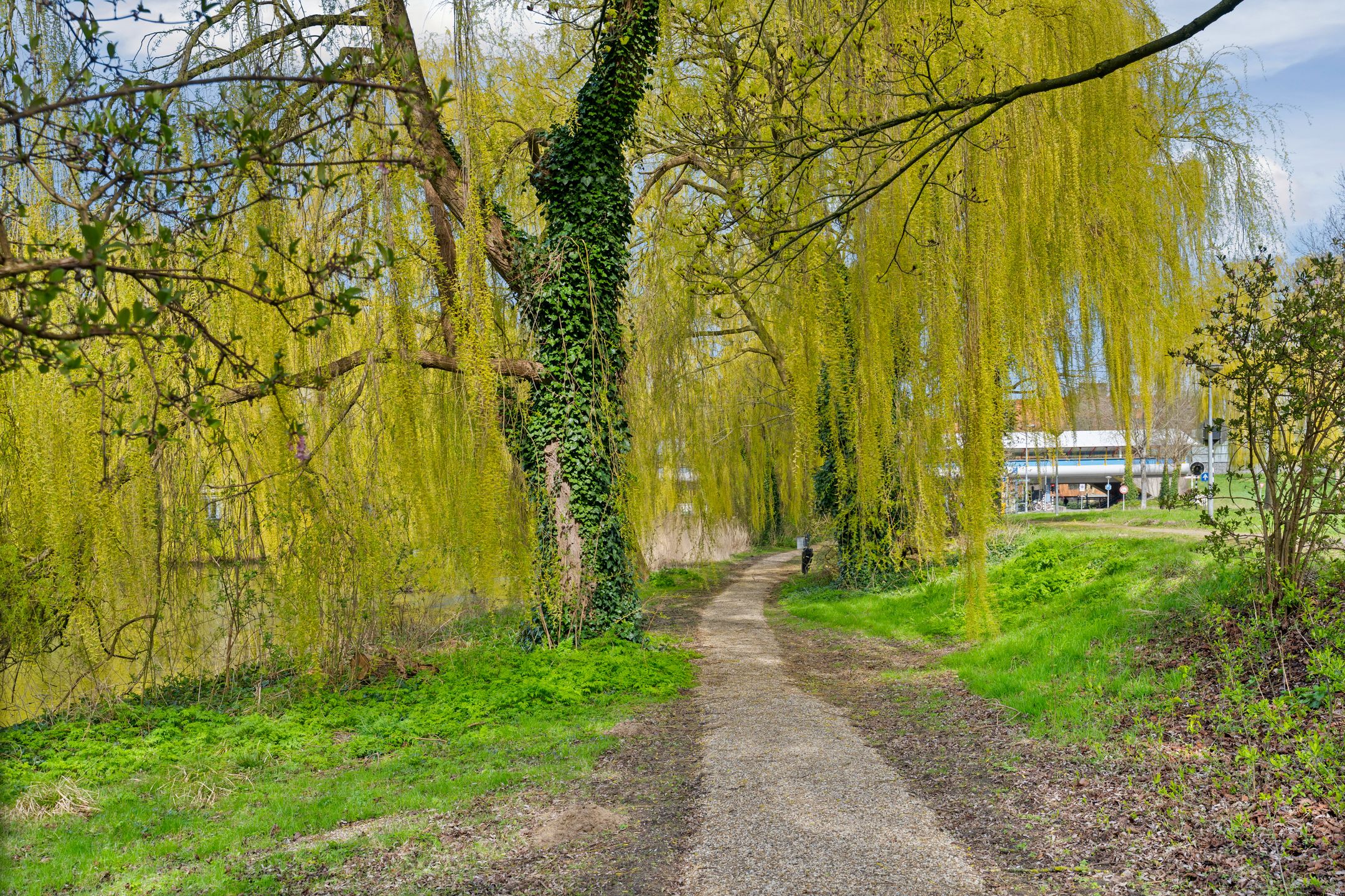 Foto 39 van Gleditsiastraat 39