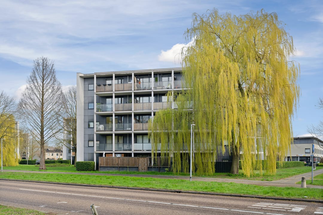 Foto 37 van Gleditsiastraat 39