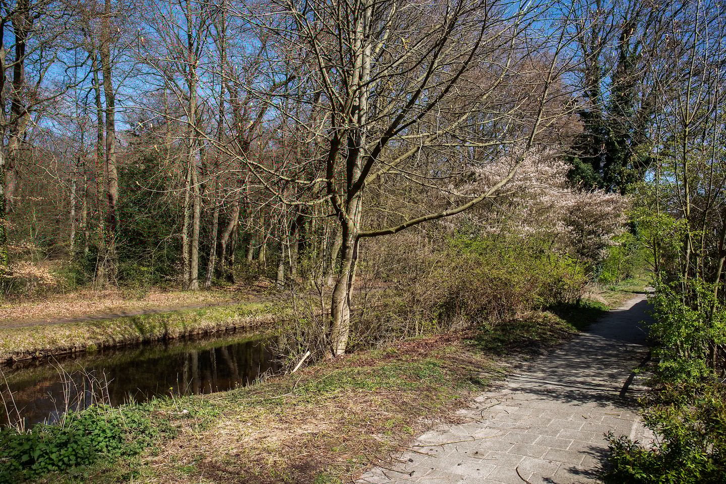 Photo 34 of Springendalhoek 6