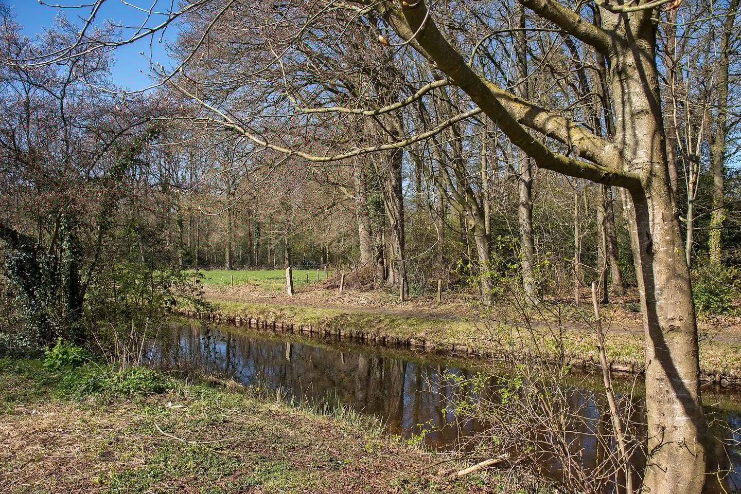 Photo 35 of Springendalhoek 6