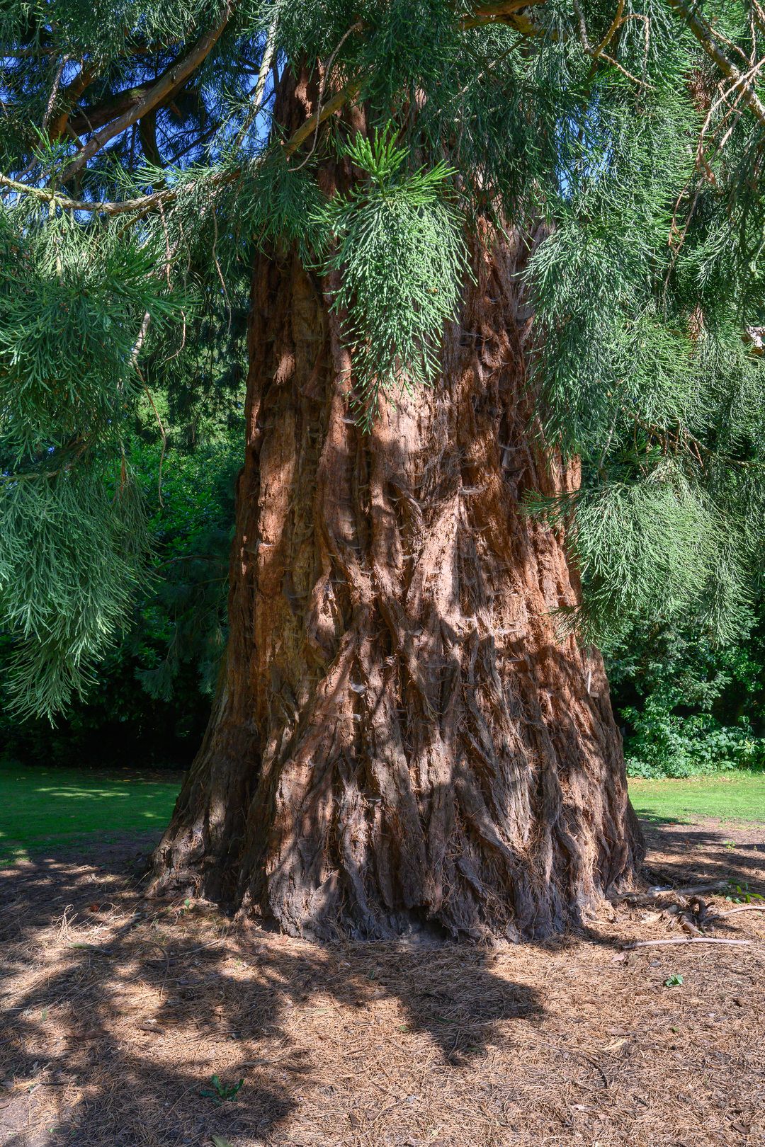 Foto 16 van Zutphensestraat 87