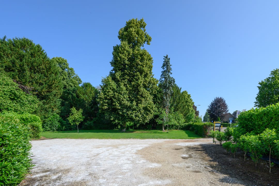 Foto 22 van Zutphensestraat 87