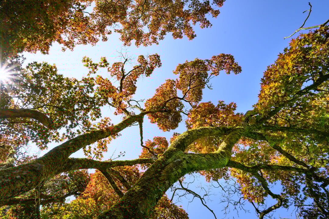 Foto 11 van Zutphensestraat 87