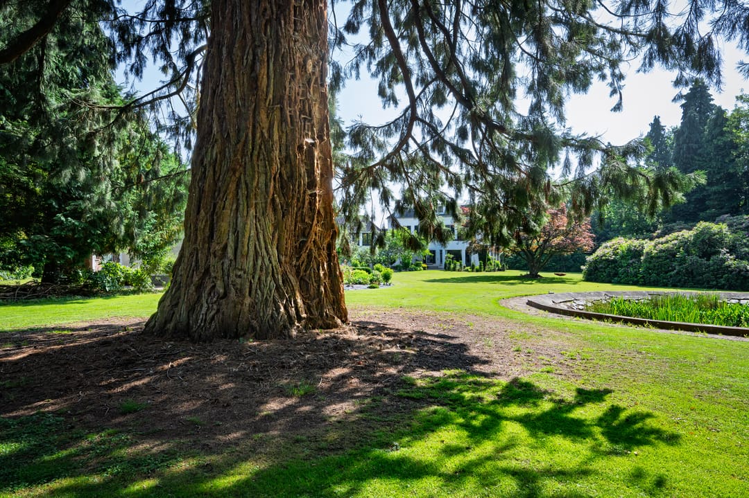 Foto 17 van Zutphensestraat 87