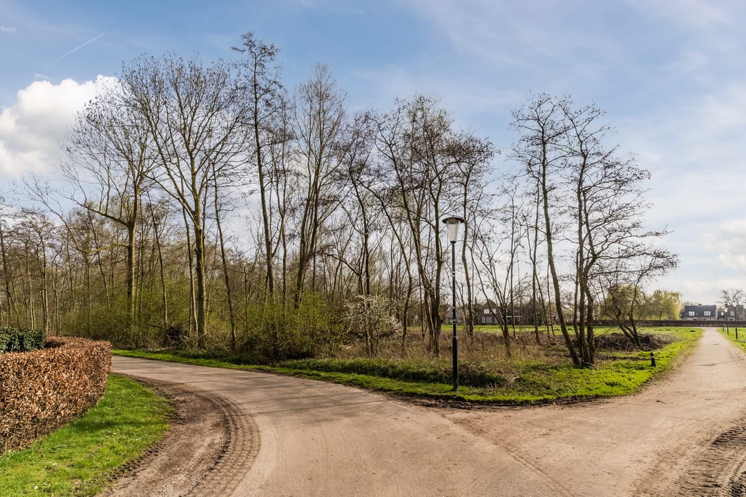 Foto 101 van Bijenveld 14