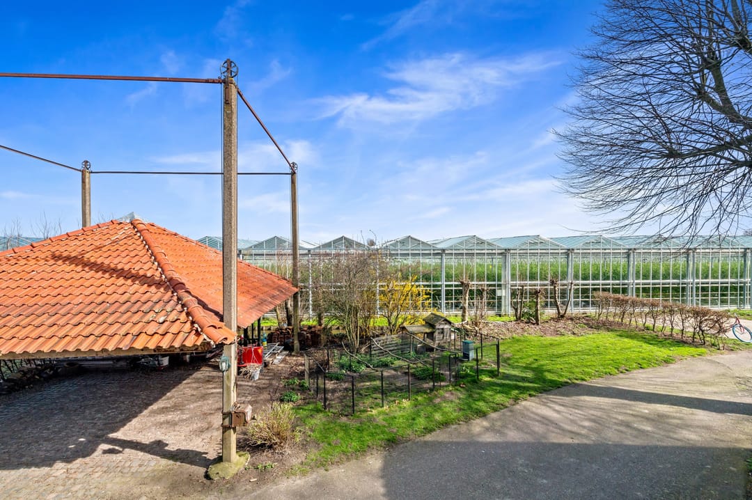 Spacious Equestrian Farm Residence with Wellness Facilities in Maasland — 86