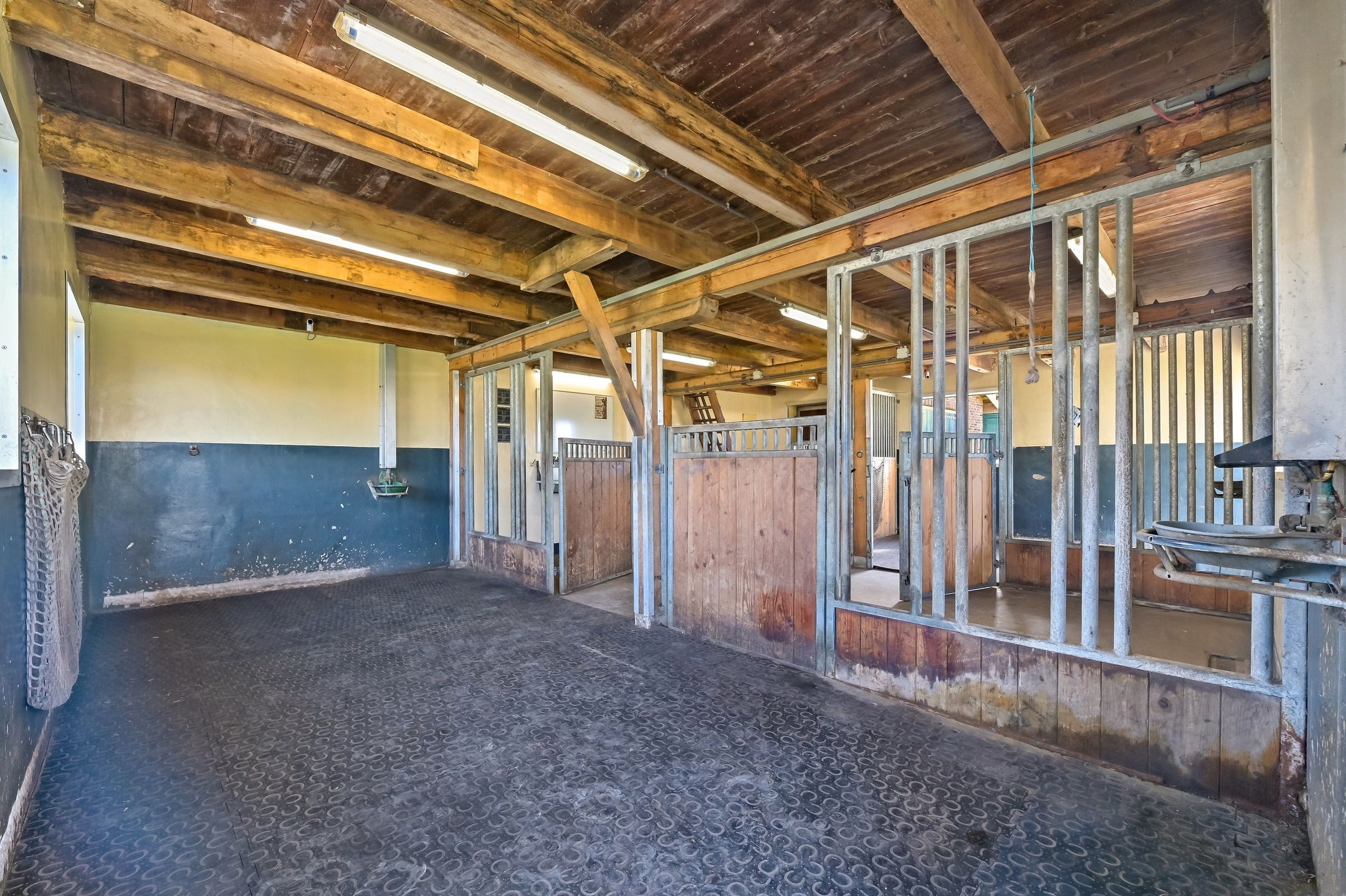 Spacious Equestrian Farm Residence with Wellness Facilities in Maasland — 69