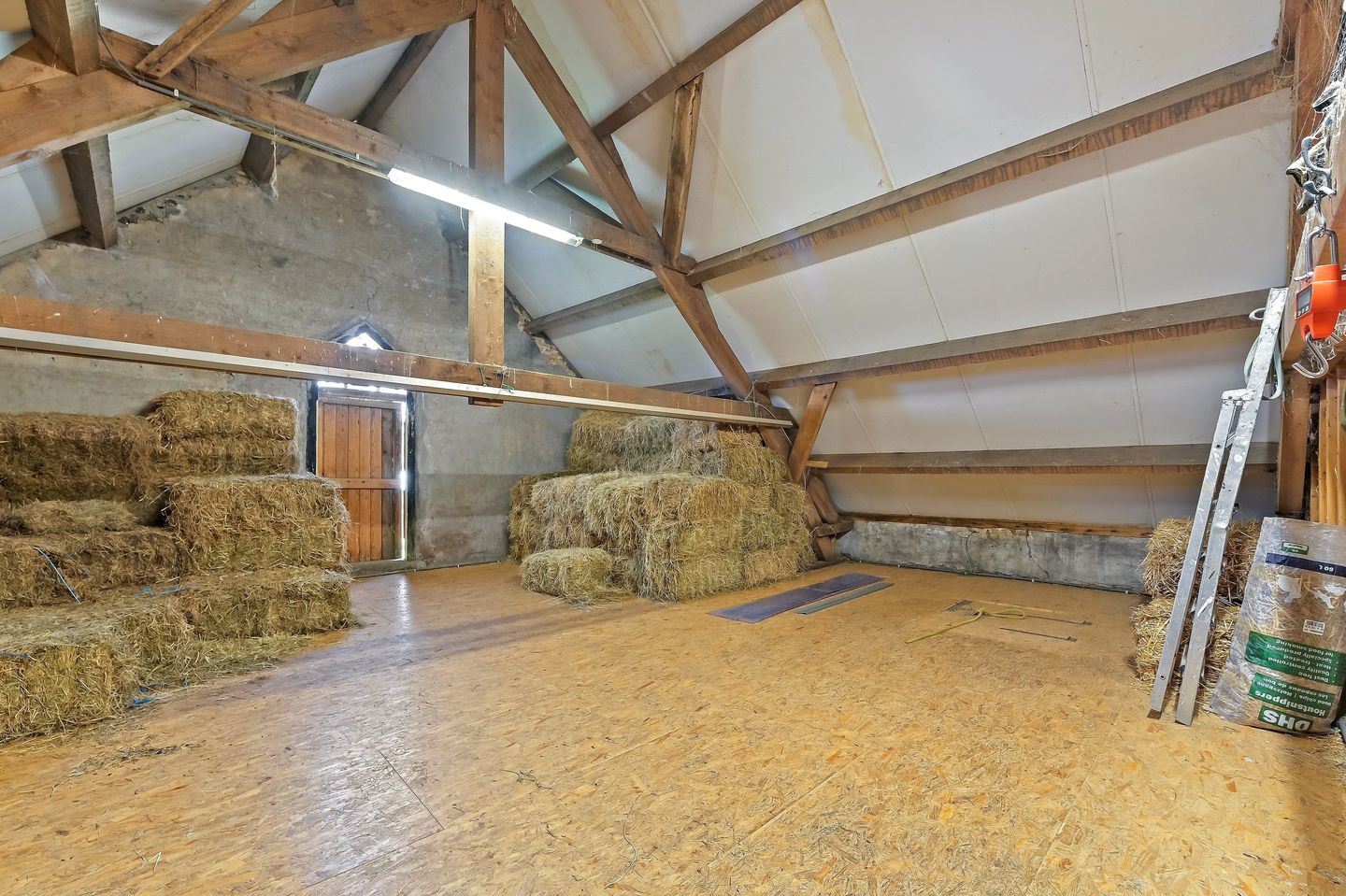 Spacious Equestrian Farm Residence with Wellness Facilities in Maasland — 74