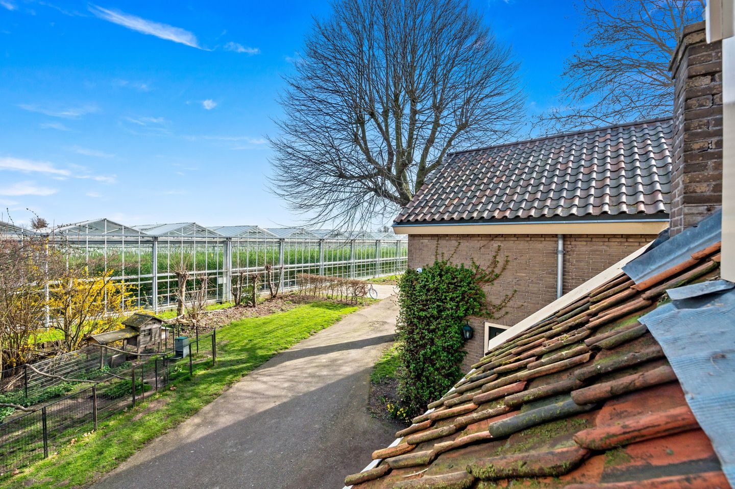 Spacious Equestrian Farm Residence with Wellness Facilities in Maasland — 89