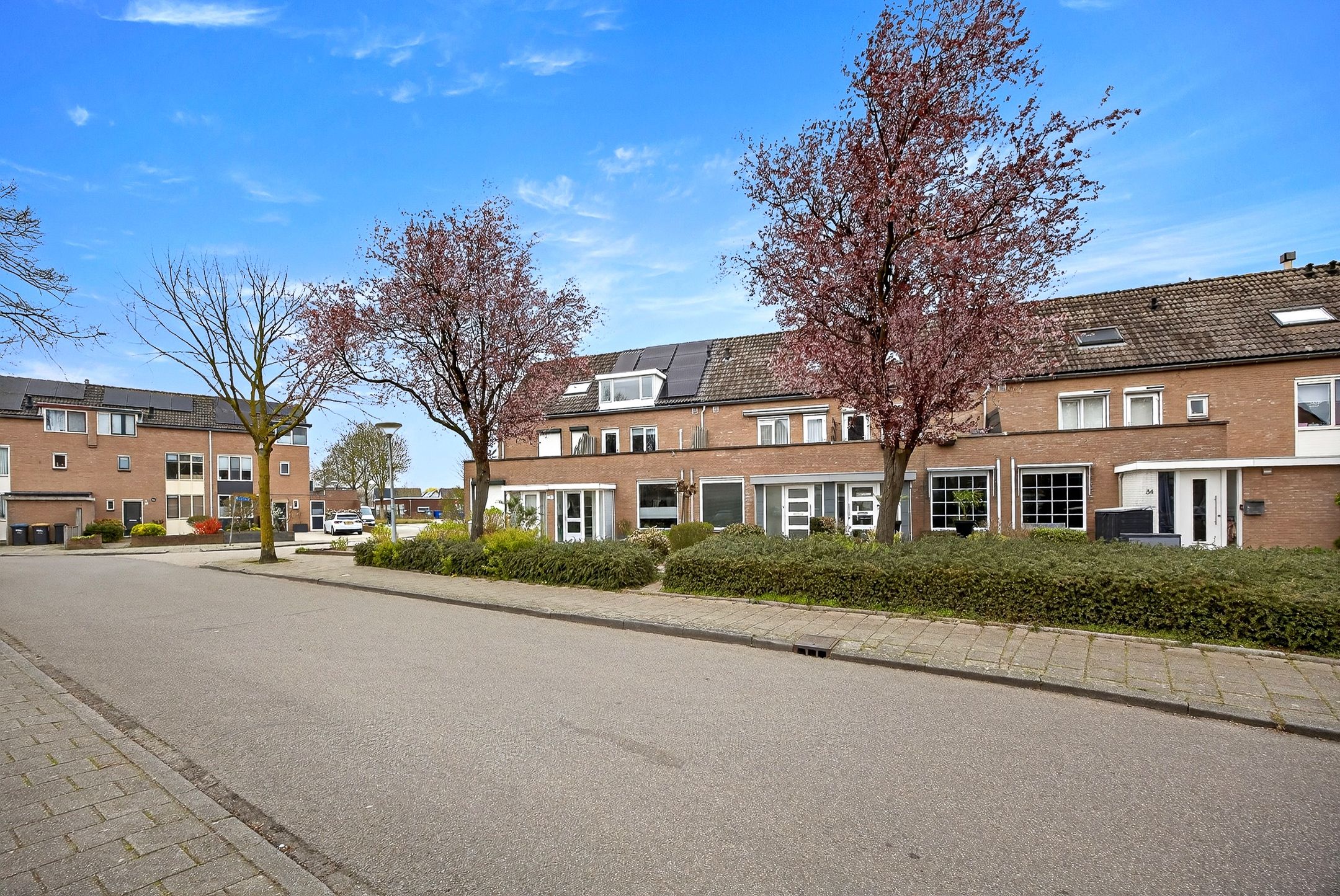 Photo 42 of Slinger 38