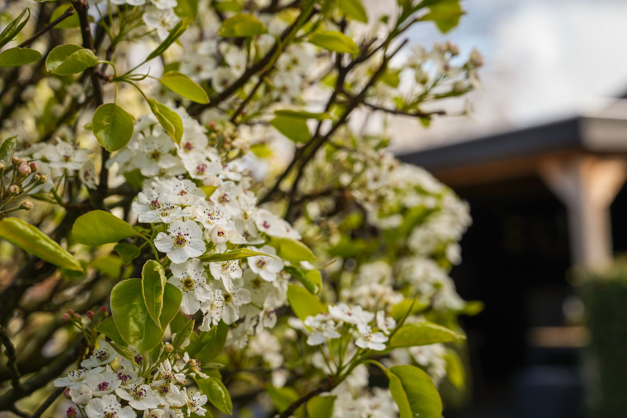 Foto 3 van Veldstraat 10