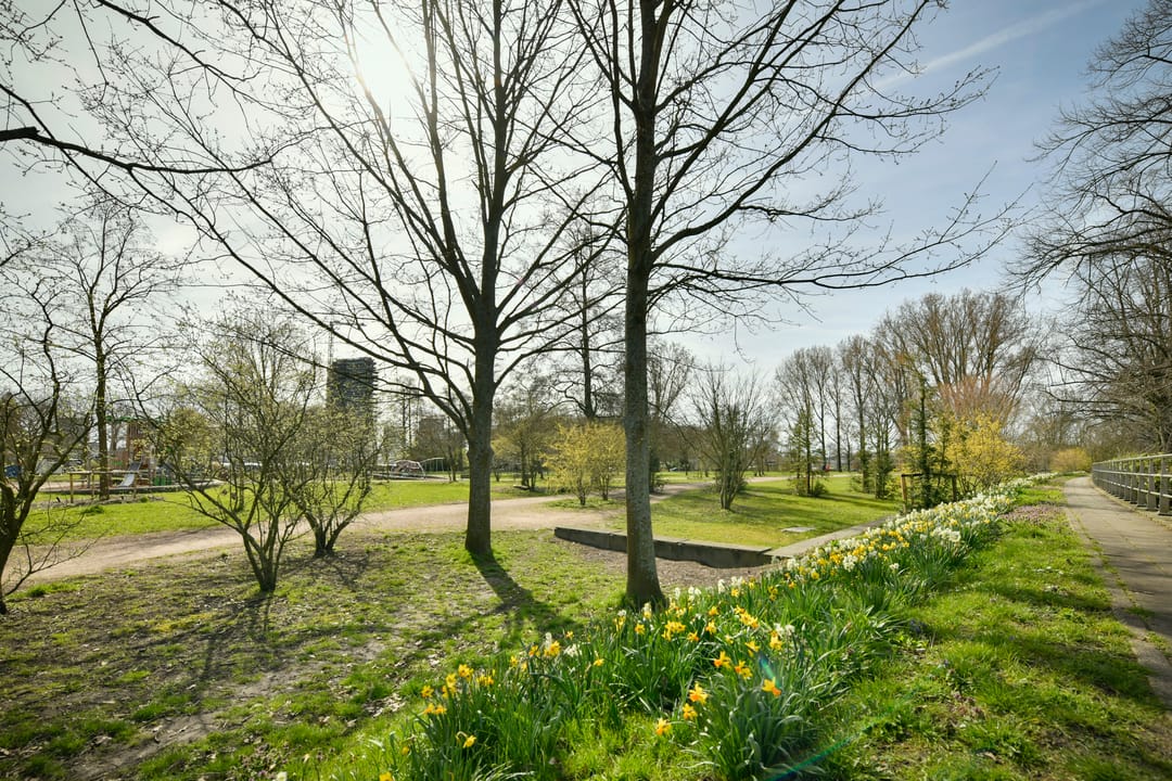 Foto 28 van Hoendiepstraat 46-2