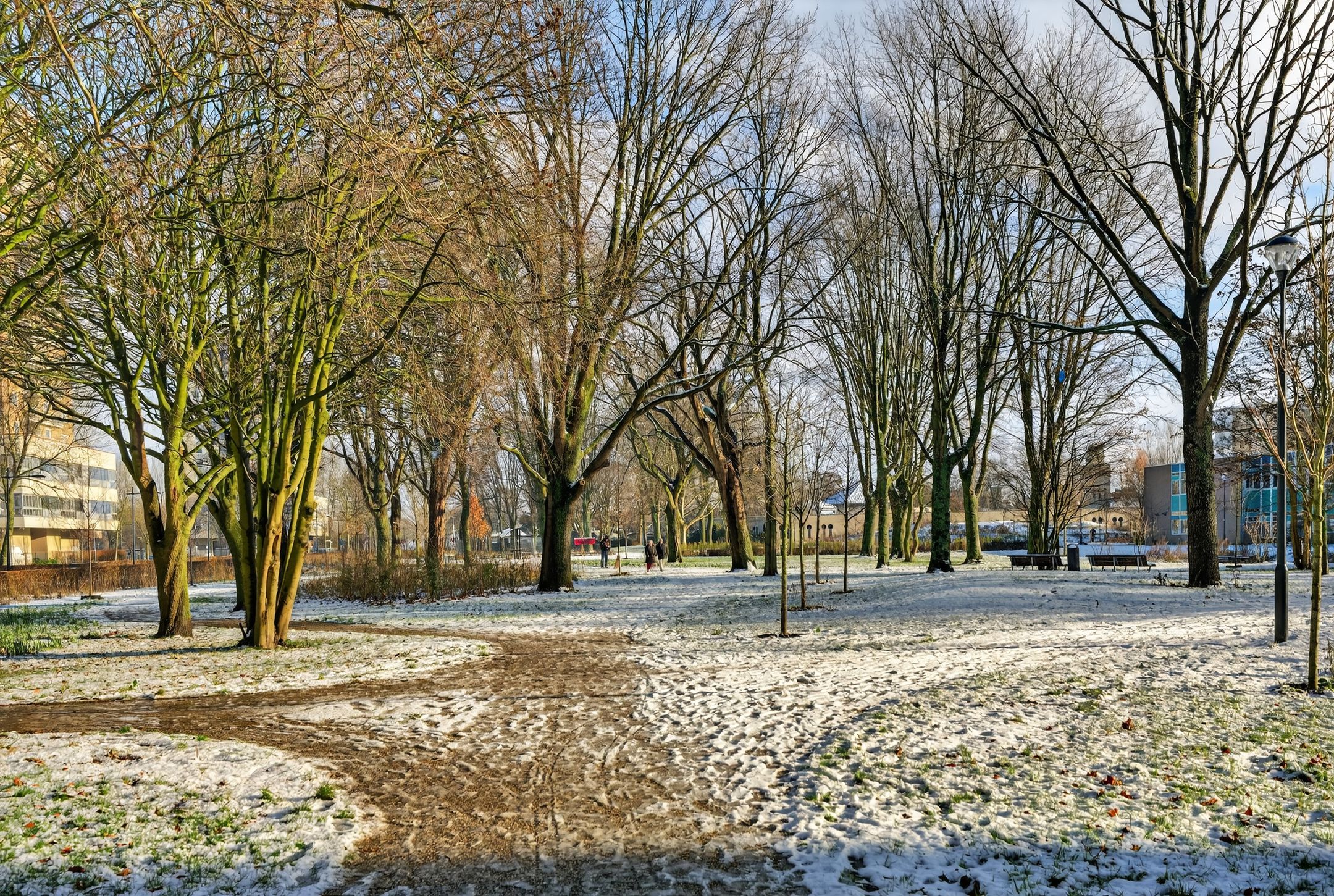 Photo 33 of Spijkerboorweg 411