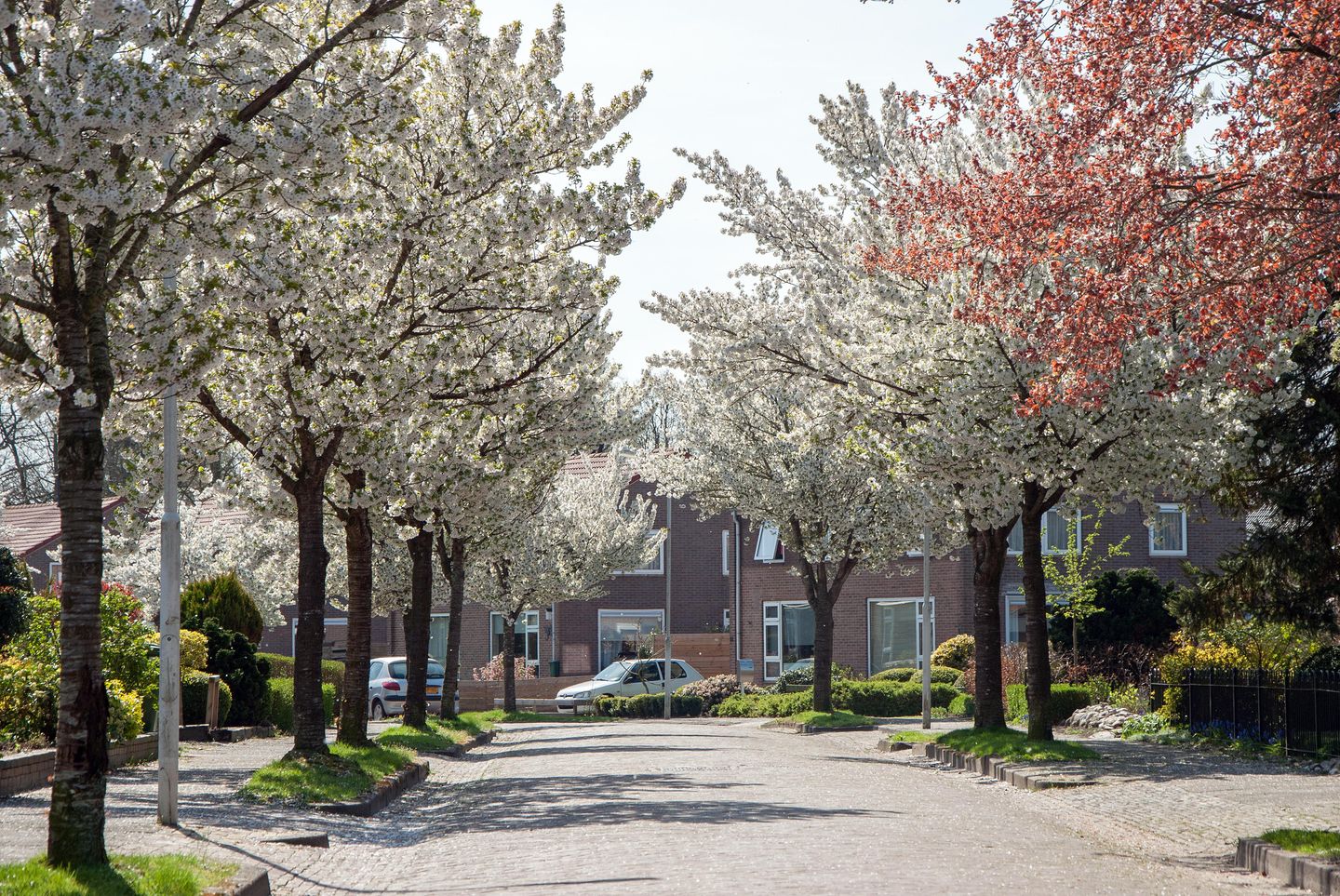 Foto 20 van Schuinpad 12