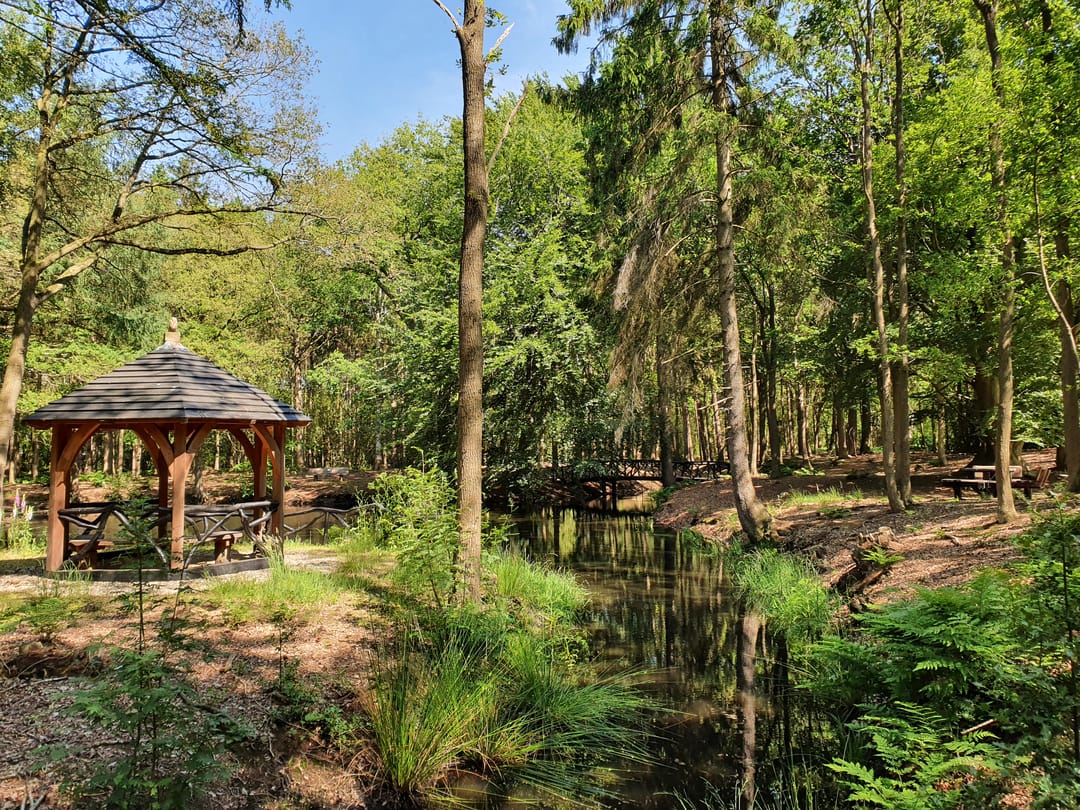 Foto 22 van Schuinpad 12