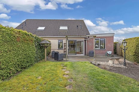 Iris 27 tertiary image