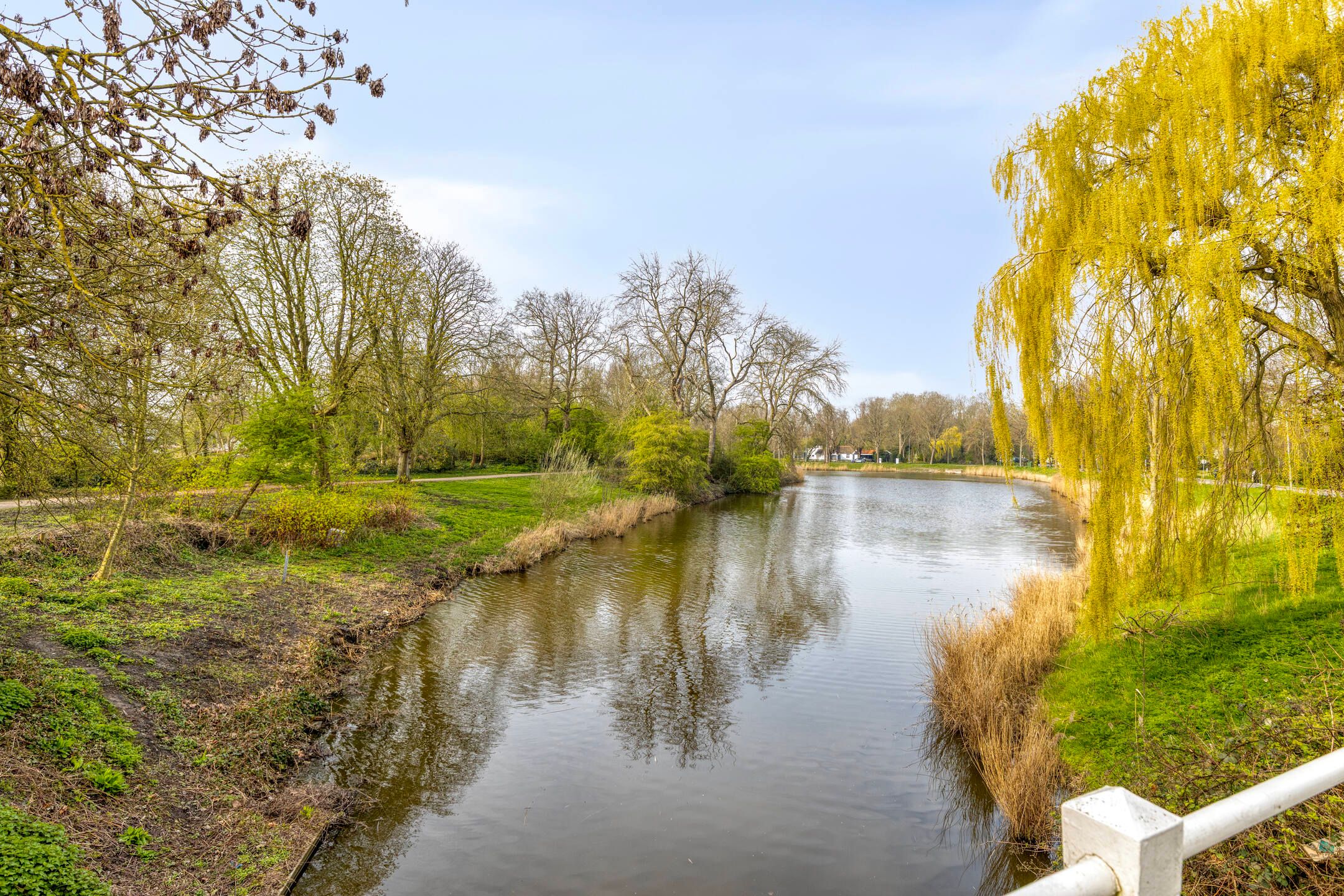 Foto 3 van Noordsingel 170