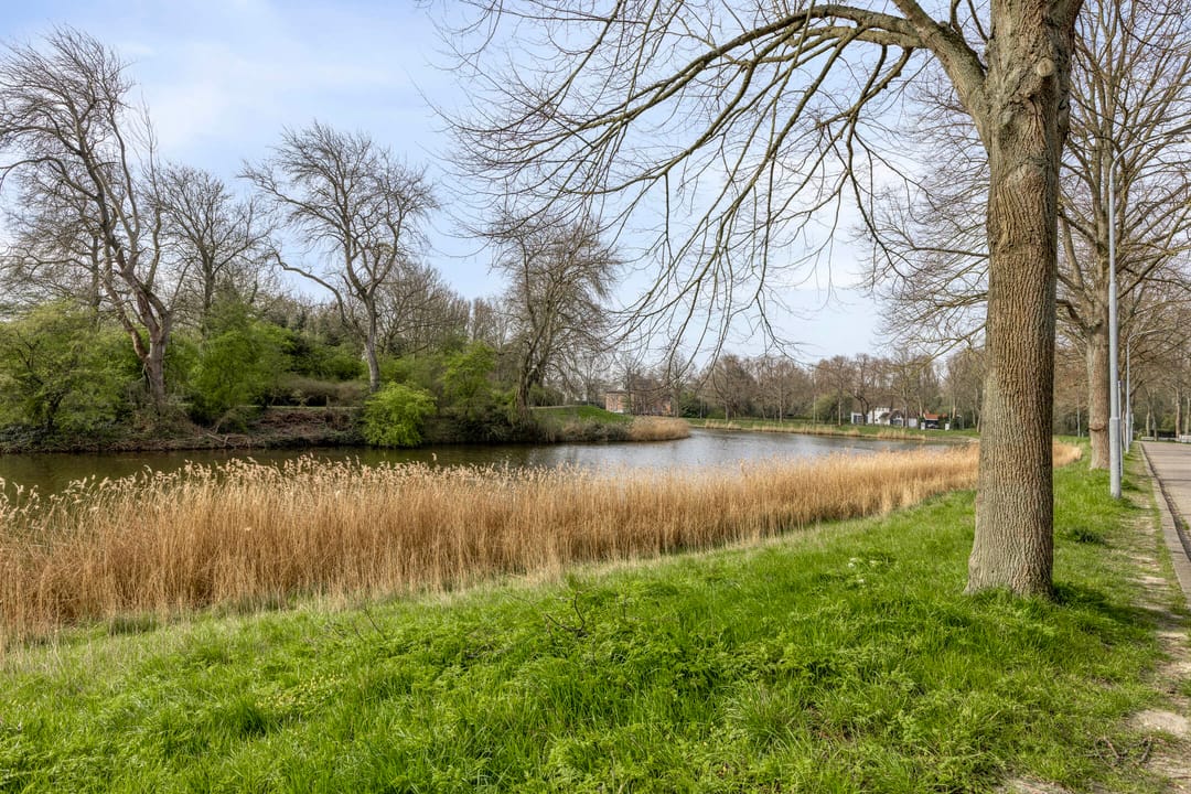 Foto 41 van Noordsingel 170