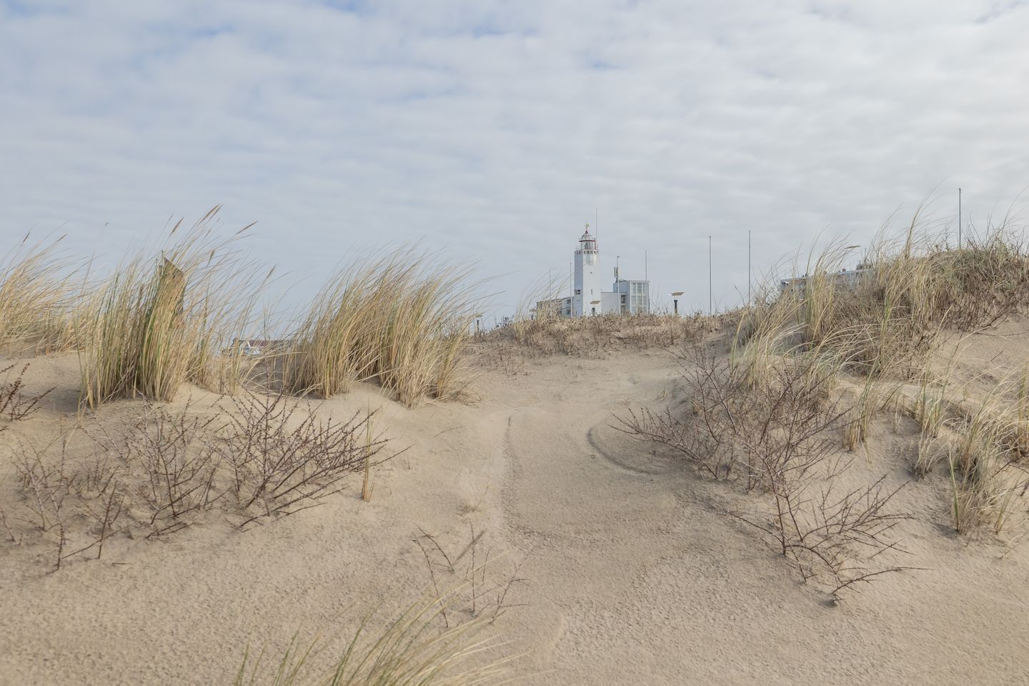 Foto 4 van Ritsaert 36