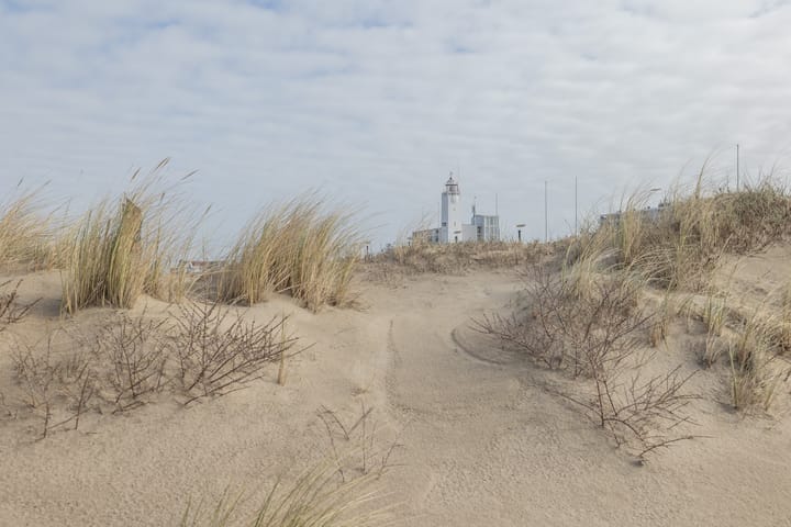 Foto 4 van Ritsaert 36