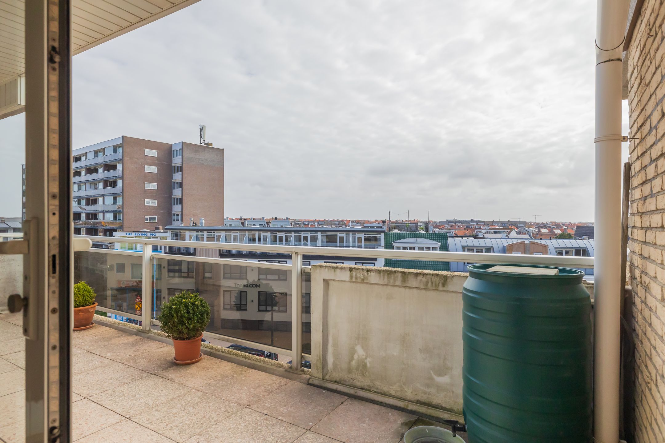 Foto 33 van Ritsaert 36