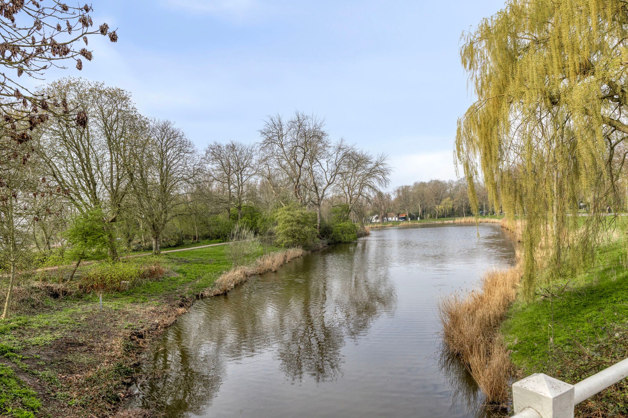 Foto 39 van Noordsingel 170