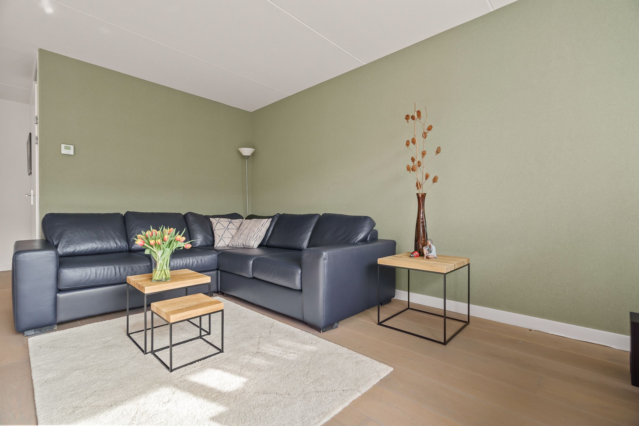 Photo 15 of Boomgaard 8