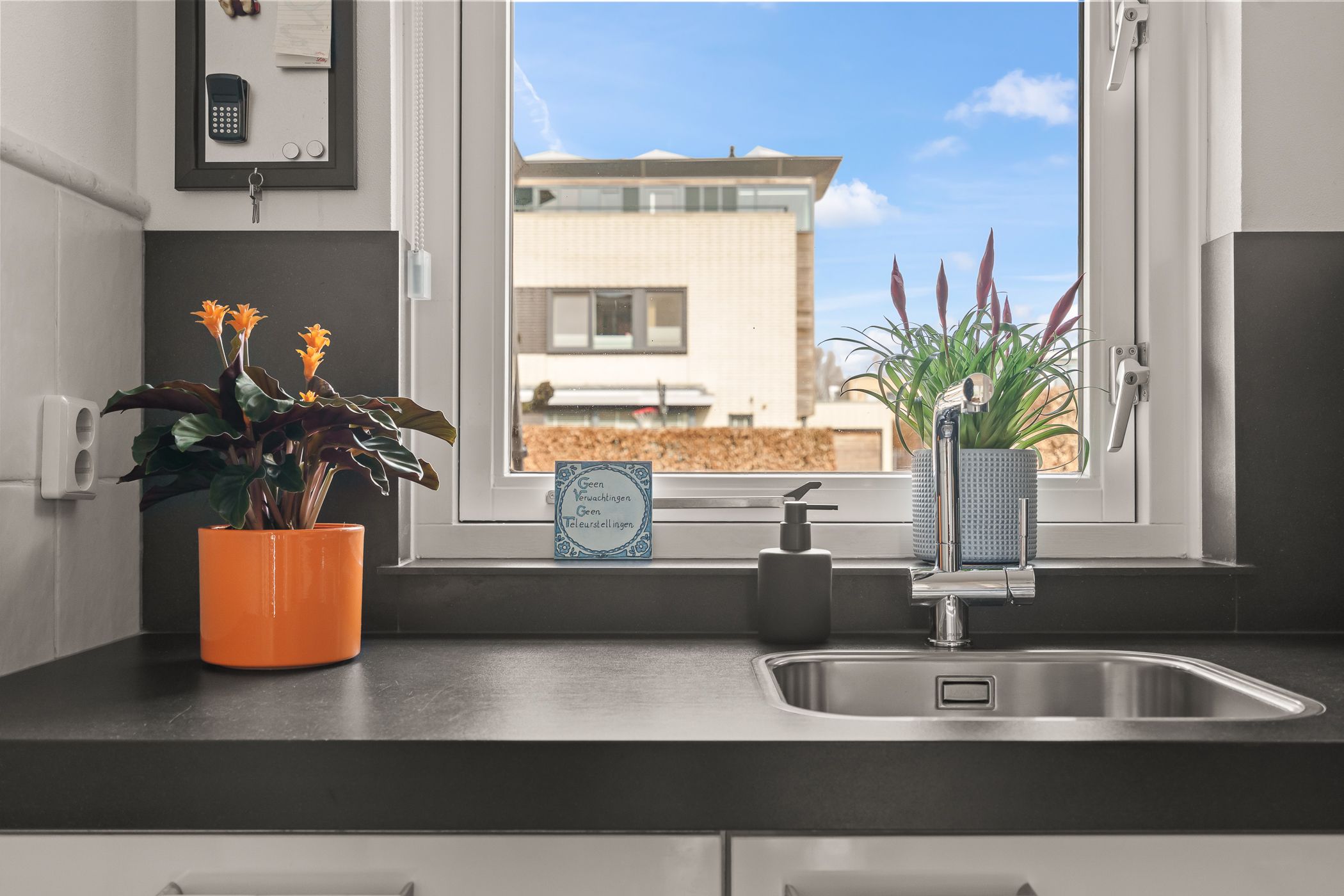 Photo 24 of Boomgaard 8