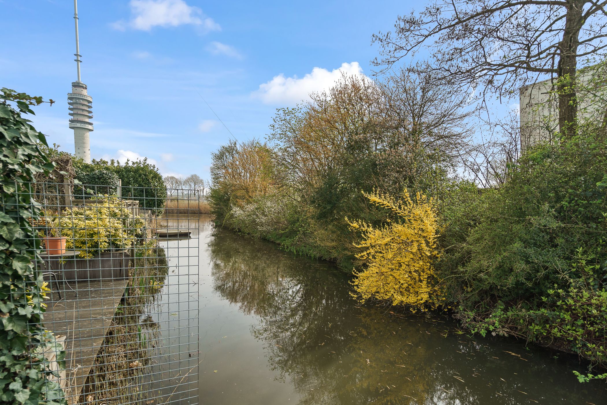 Photo 63 of Boomgaard 8