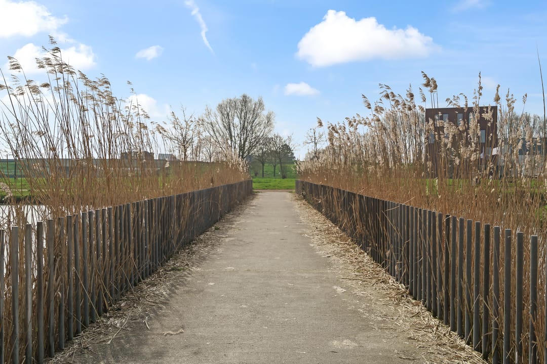 Photo 71 of Boomgaard 8