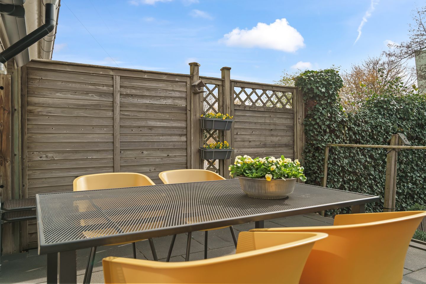 Photo 29 of Boomgaard 8