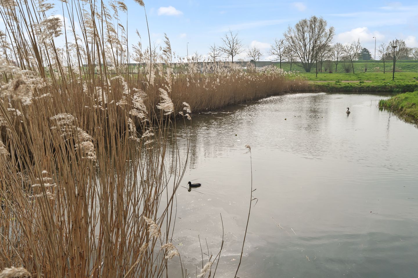 Photo 70 of Boomgaard 8