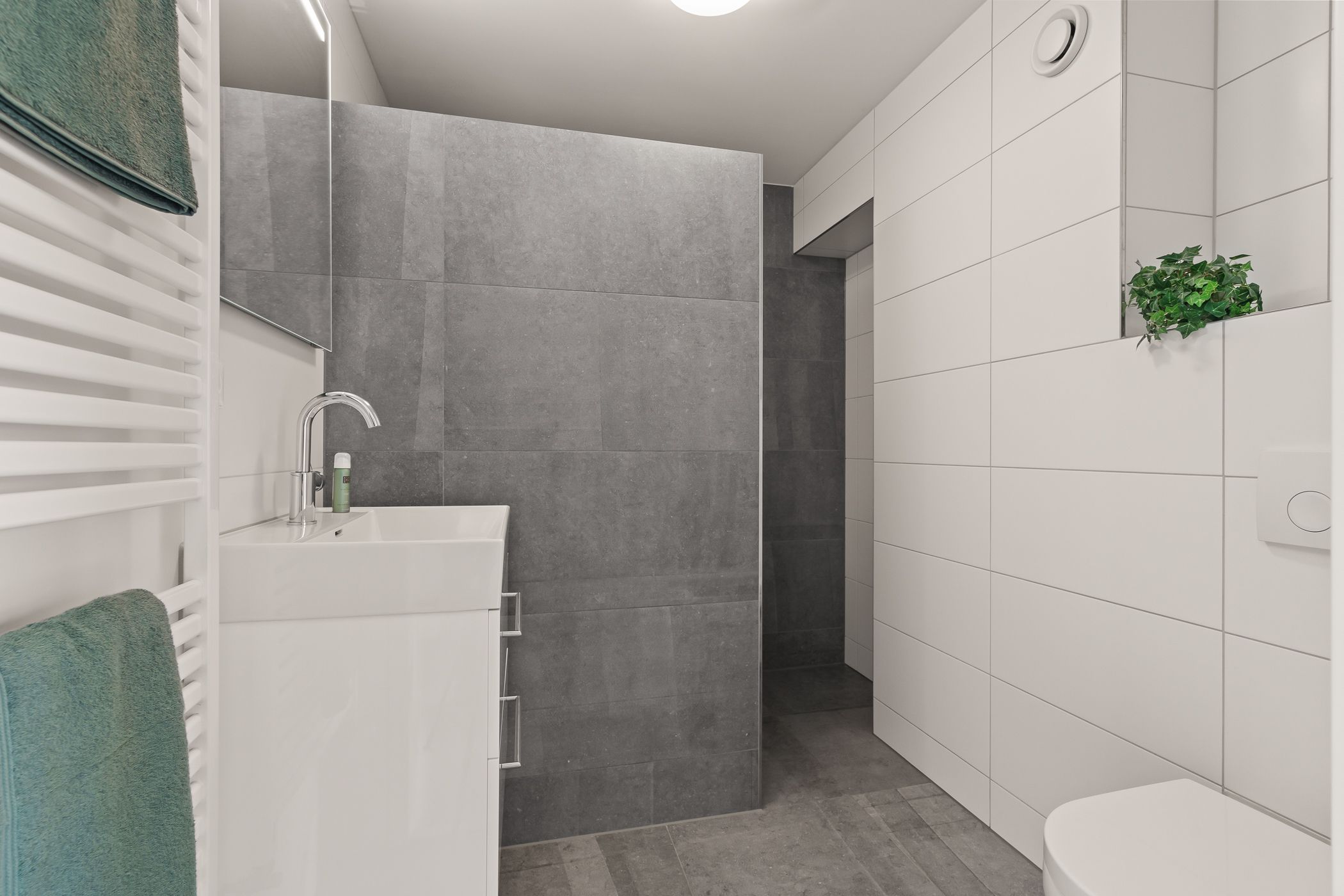 Photo 57 of Boomgaard 8