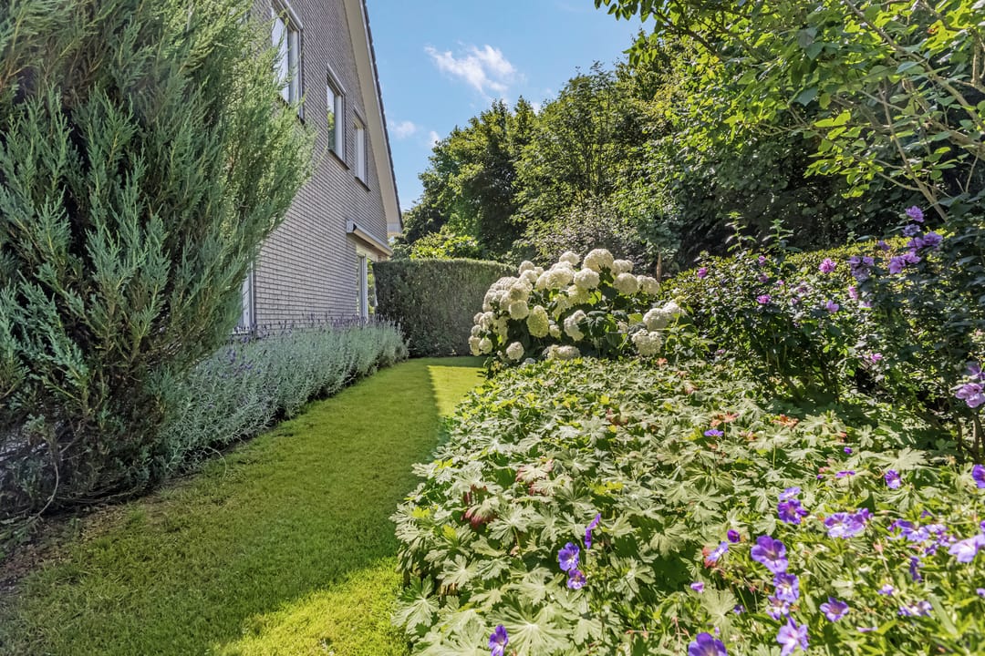 Foto 52 van Tellerswerft 34