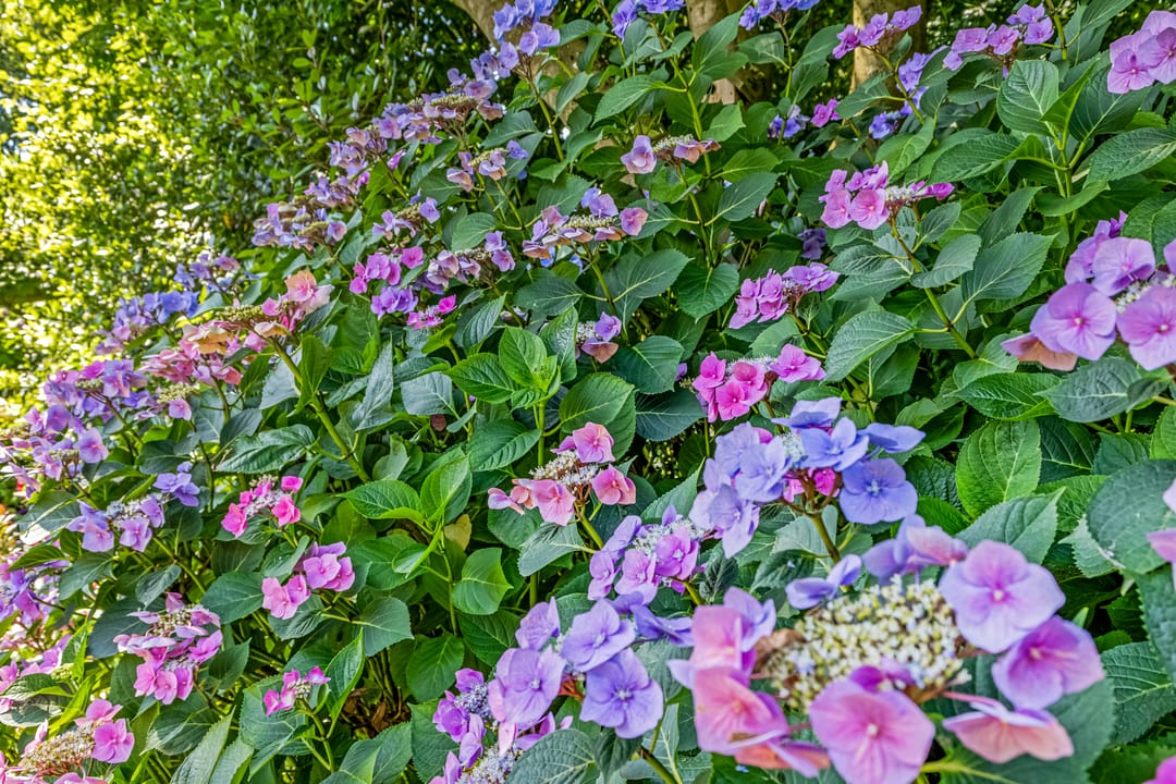 Foto 41 van Tellerswerft 34