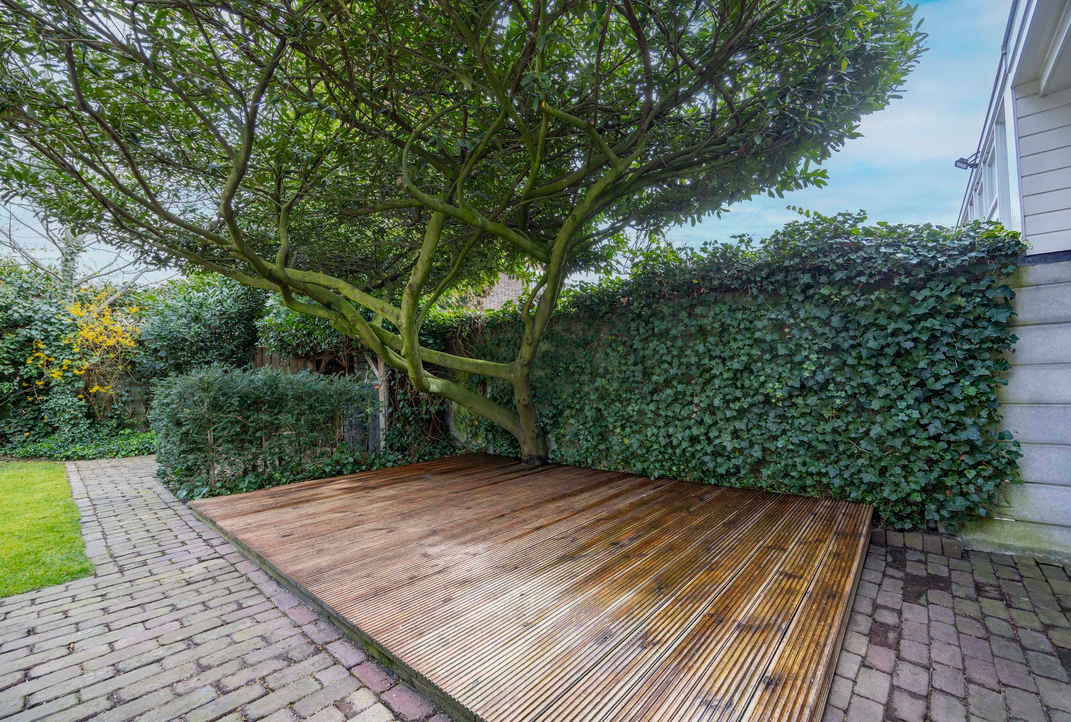 Photo 51 of Antonie van Diemenstraat 2