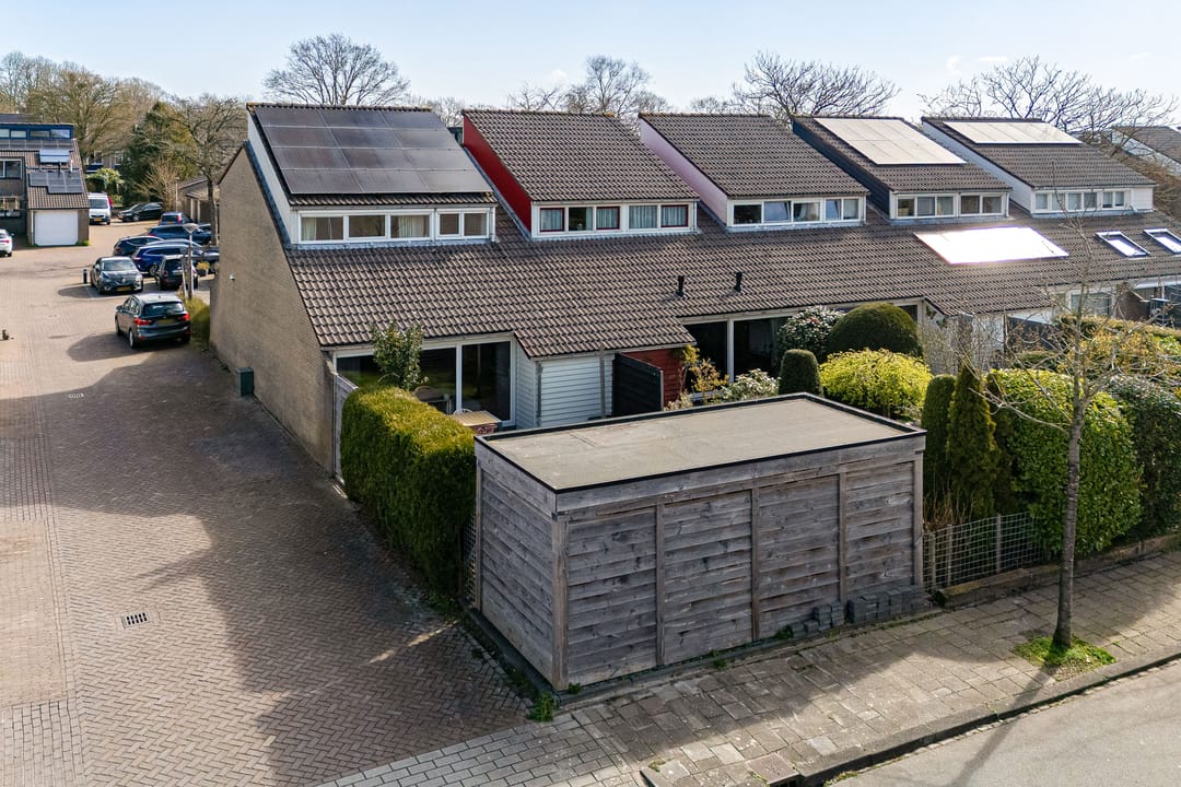 Foto 47 van Zenegroen 2