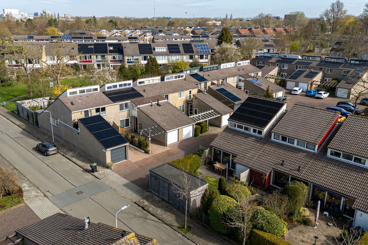 Foto 49 van Zenegroen 2