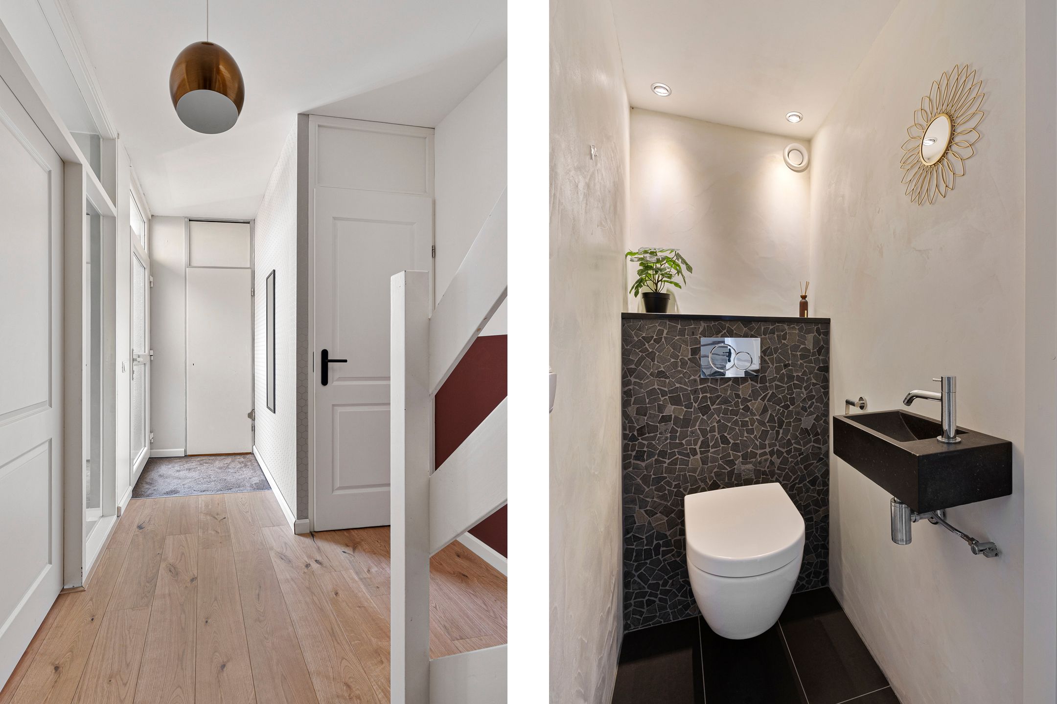 Foto 12 van Zenegroen 2