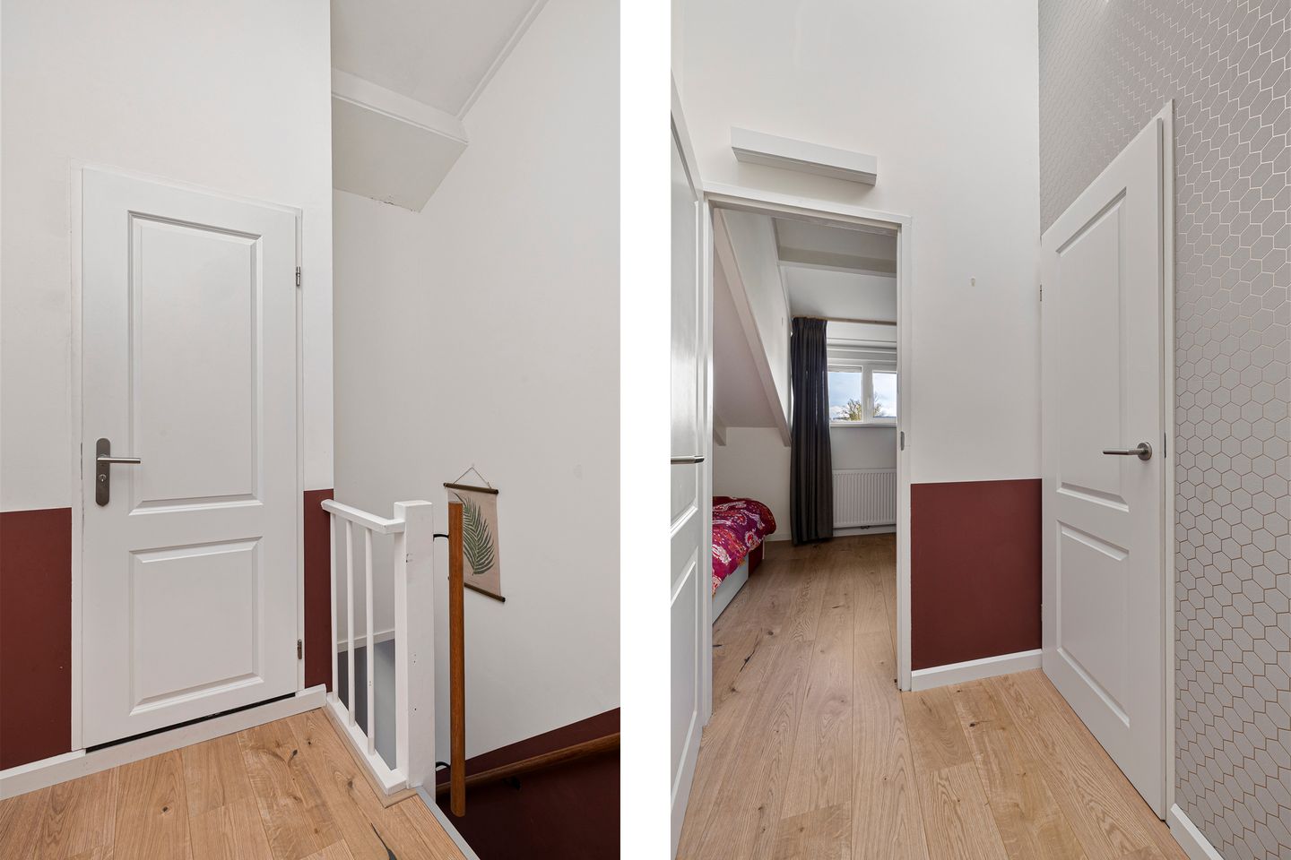 Foto 34 van Zenegroen 2