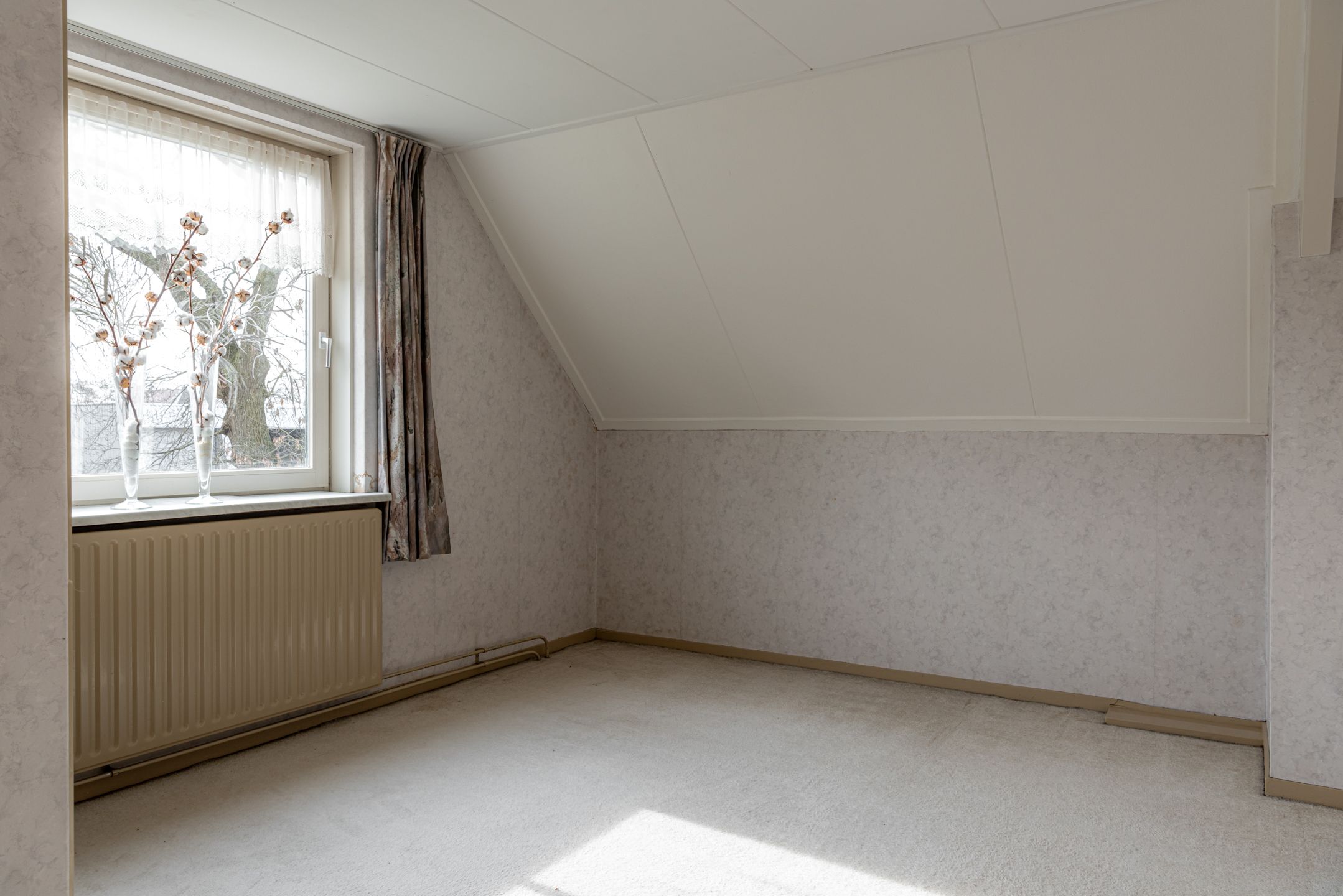 Photo 21 of Scharren 24