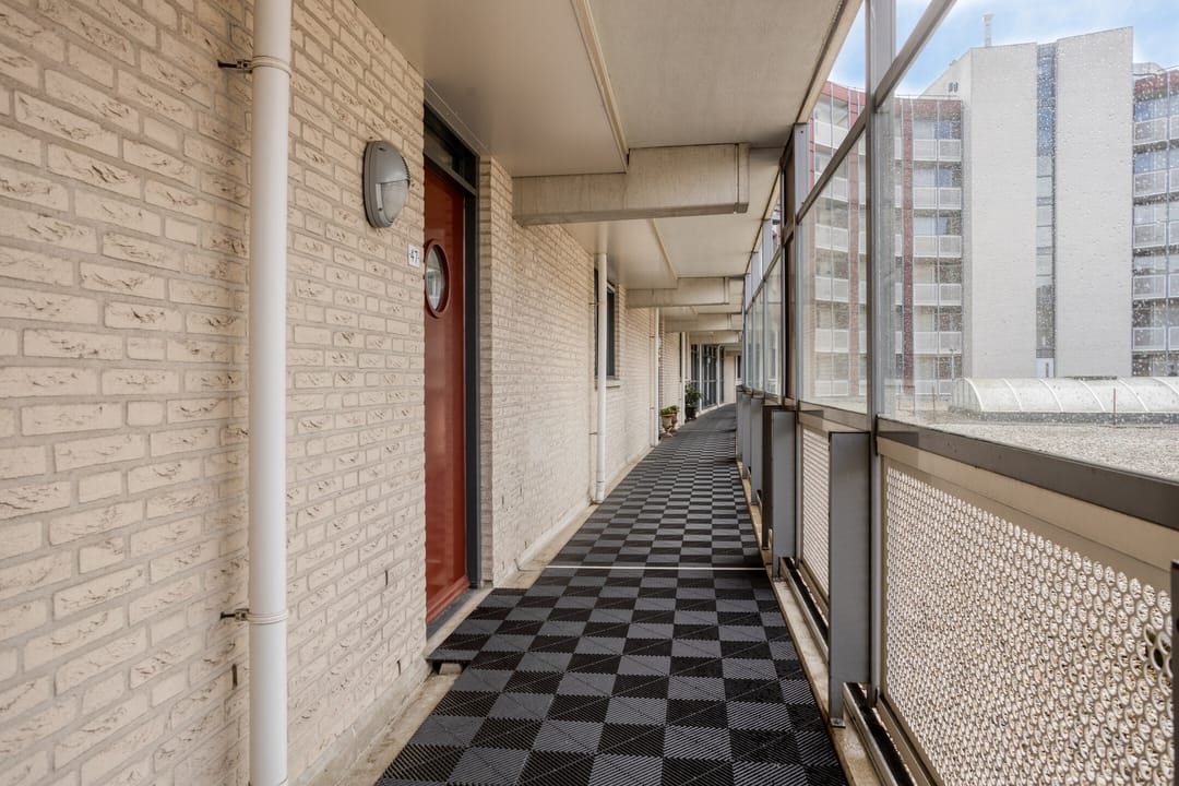 Foto 7 van Rendierhei 47