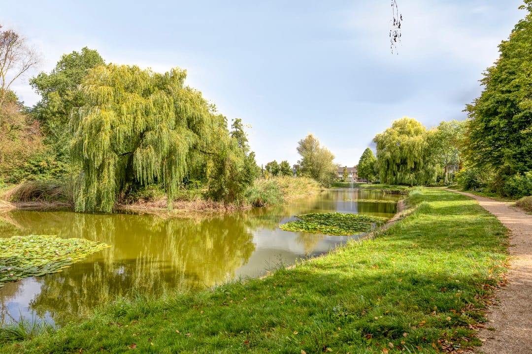 Foto 56 van Zandstraat 2