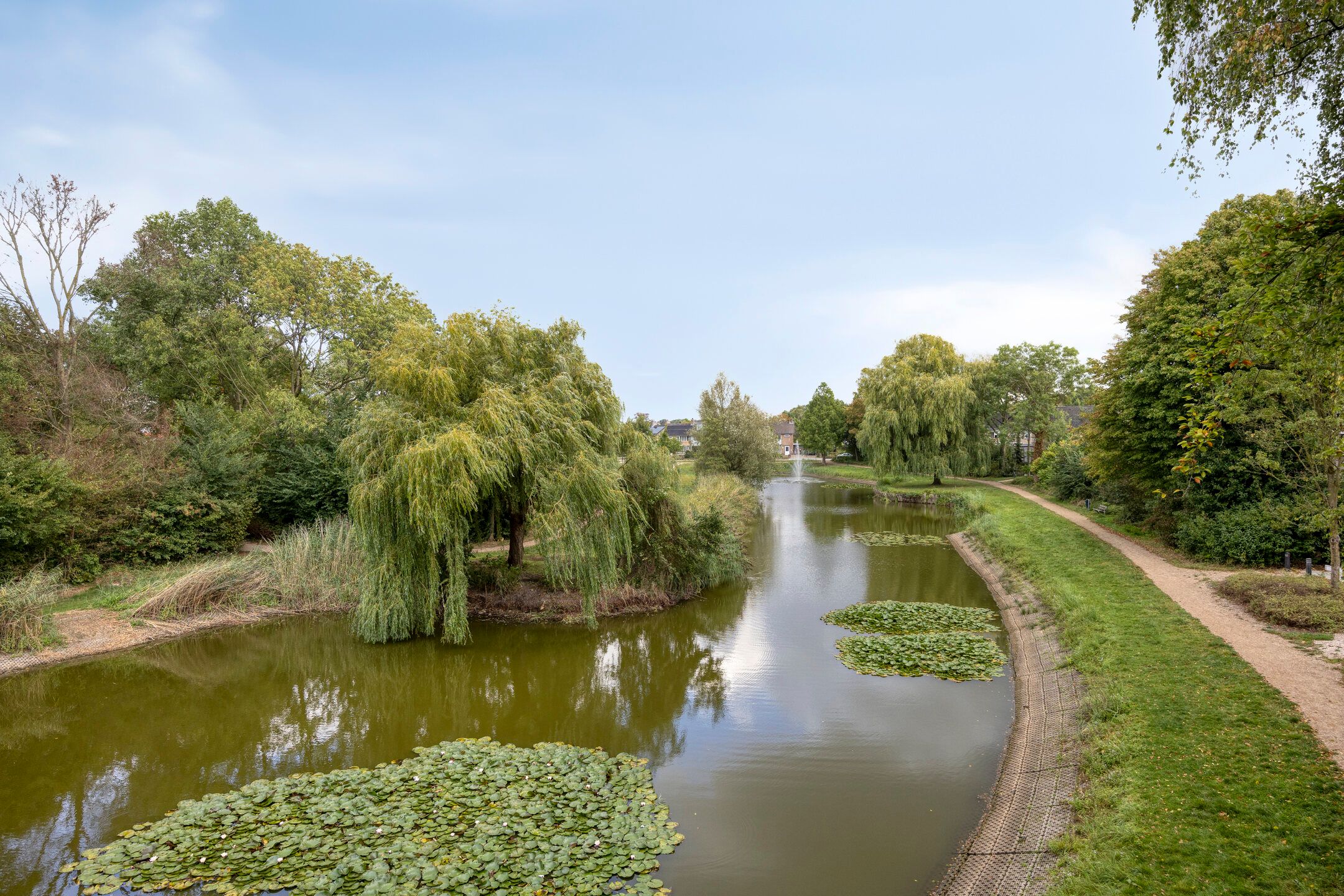 Foto 57 van Zandstraat 2