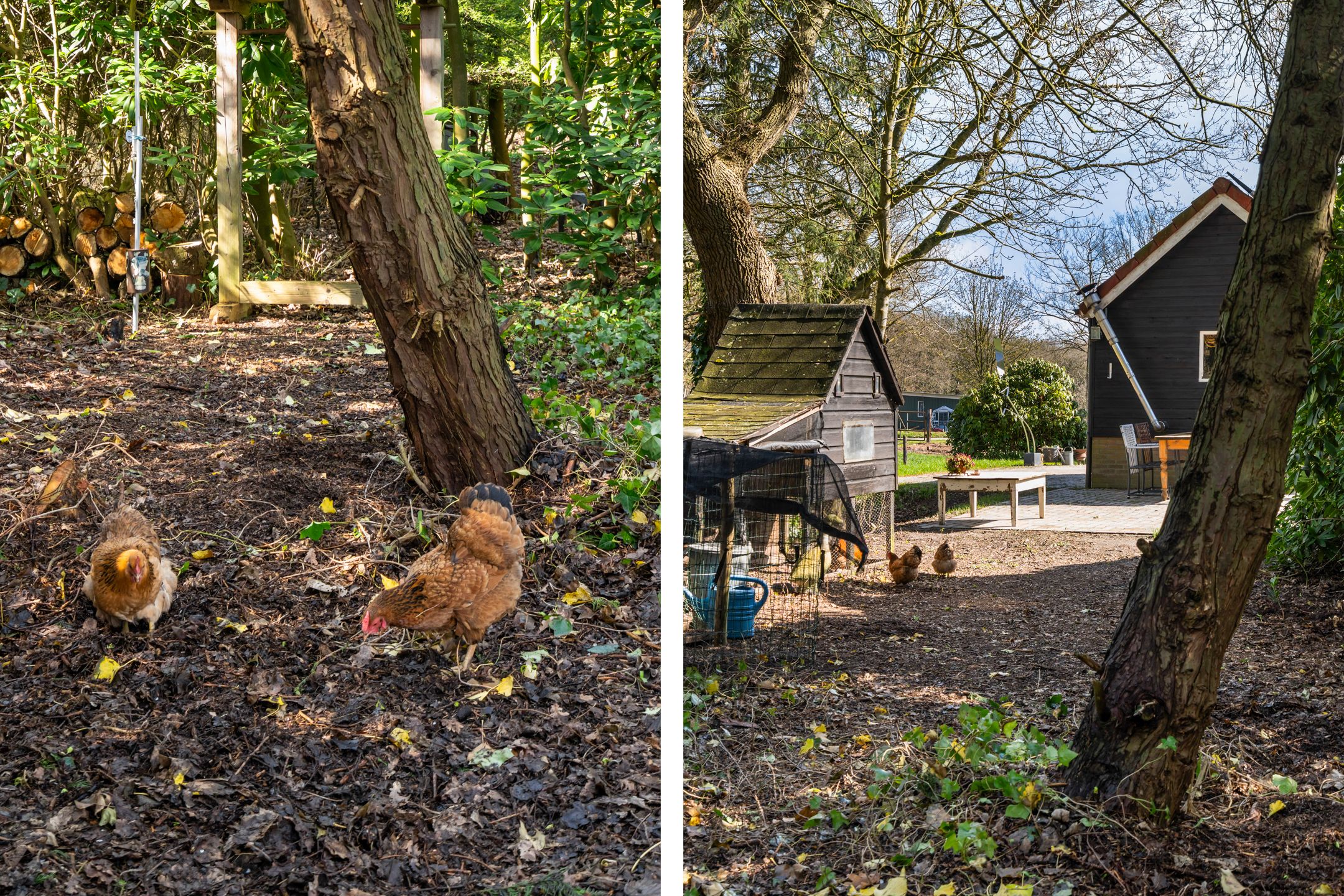 Foto 33 van Kanaal W.Z. 30