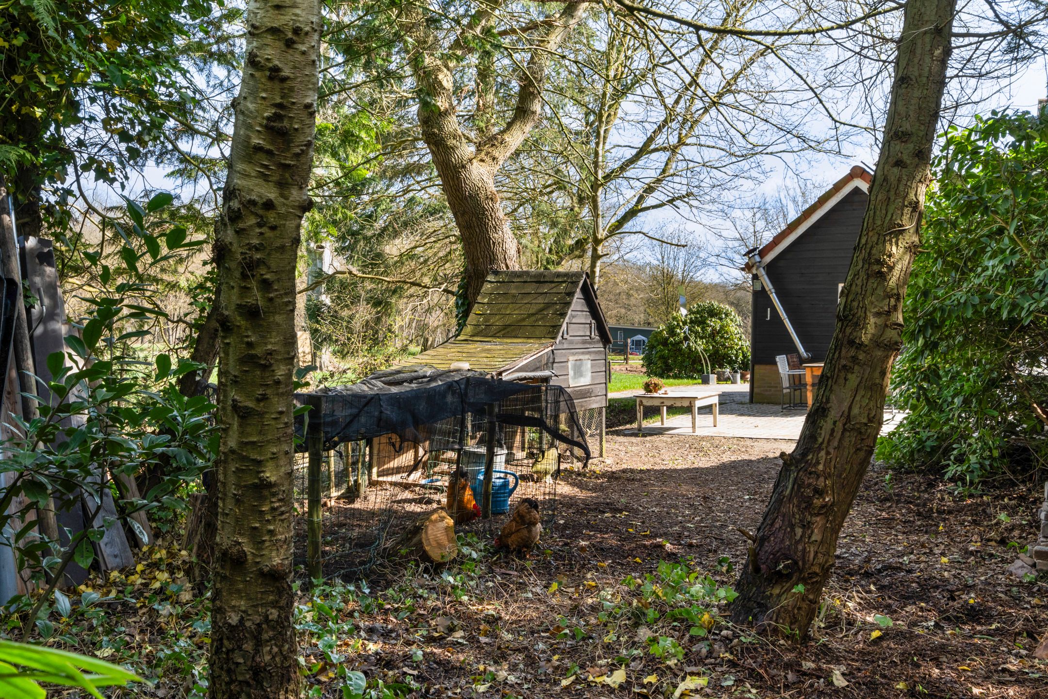 Foto 30 van Kanaal W.Z. 30