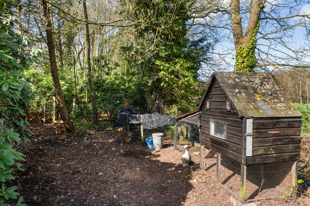 Foto 32 van Kanaal W.Z. 30